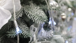 Дефицита новогодних ёлок в России нет — глава Рослесхоза