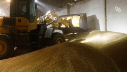 В минэке Ставрополья назвали запрет на экспорт зерна своевременной мерой