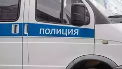 Полицейские помогли жительнице Грачёвки найти потерявшуюся собаку