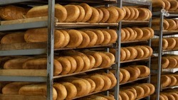 Более 30 ставропольских хлебопекарных предприятий получили господдержку