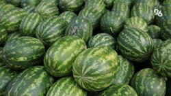 Две ярмарки выходного дня «Покупай ставропольское» пройдут 2 и 3 августа