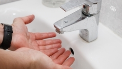 Руки необходимо мыть не менее 30 секунд — российский врач-эпидемиолог