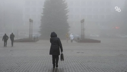 До +9 градусов и дожди ожидаются на Ставрополье под конец новогодних каникул