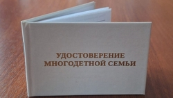 Бумажные удостоверения о статусе многодетных получили 303 семьи в Ставрополе