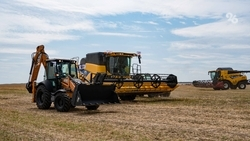 Глава Минсельхоза РФ оценила работу региона по уборочной кампании в 2025 году