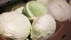 Качество 70 тонн импортной капусты проверили на Ставрополье с начала года