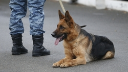 Из-за сообщения о минировании из торгового центра в Ставрополе эвакуировали 4,5 тыс. человек