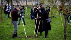 На Ставрополье стартовала акция «Сад памяти»