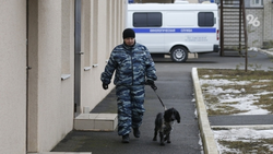 Учеников лицея №6 в Ессентуках отпустили домой из-за угрозы