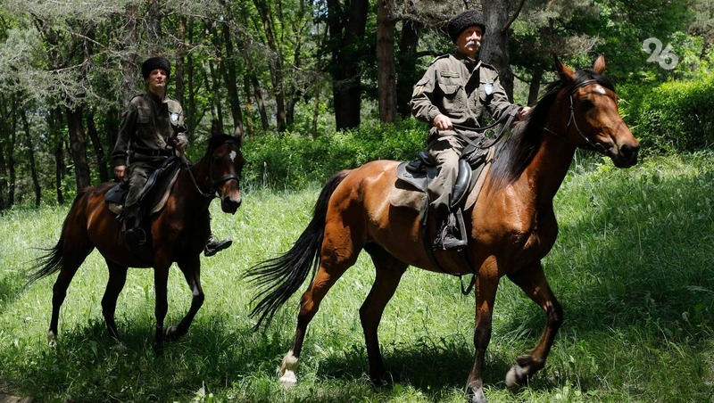 На лошадях карачаевской породы всадники совершили переход в честь 100-летия Карачаево-Черкесии