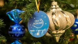 Министр финансов исполнит желание юной ставропольчанки