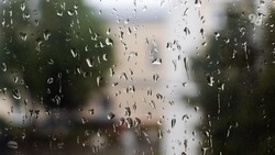 Сильные дожди ожидаются на Ставрополье в начале недели