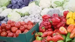 Ставрополь отметит 249-летие масштабной сельскохозяйственной ярмаркой