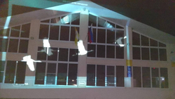 Ставропольский край стал участником Всероссийской акции «Журавли»