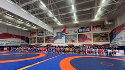300 спортсменов соревнуются в панкратионе в Кисловодске