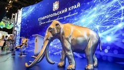 В первый день КИФ-2026 Ставрополье подписало семь соглашений — губернатор