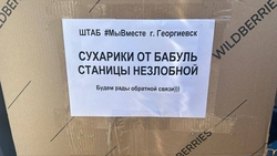 Около 2 тонн посылок передали участникам СВО из Георгиевского округа