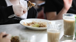 Более 138,5 тыс. учеников начальных классов бесплатно питаются на Ставрополье