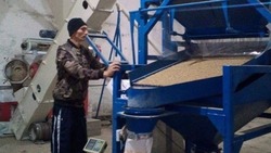 Житель Новоселицкого округа открыл производство кормов благодаря соцконтракту 