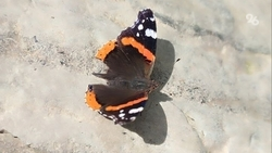 До +30 градусов ожидается на Ставрополье в конце рабочей недели