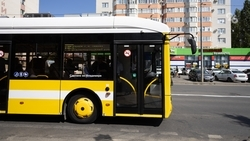 Троллейбусы остались в полномочии края — руководитель комитета ОПТ Ставрополя