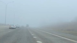 Водителей предупреждают о низкой видимости на трассе Минеральные Воды — Кисловодск