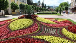 Свыше 400 тысяч цветов летних и весенних культур украсят клумбы Кисловодска