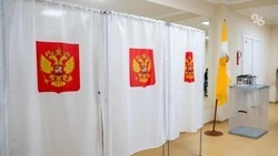  Молодёжь Ставрополья активно участвует в выборах 2026 года — эксперт Варданян