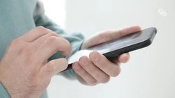 Россиян обманывают фейковыми малино-клубничными саженцами на маркетплейсах