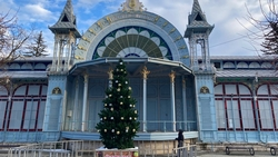 Масштабные новогодние мероприятия не планируют в Пятигорске