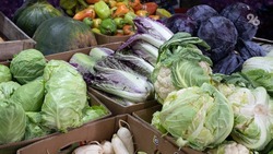 Летние цены на Ставрополье: овощи дешевеют, авиабилеты растут в цене