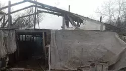 Шесть коров и 15 свиней спасли из горящего хлева в селе Грачёвского округа