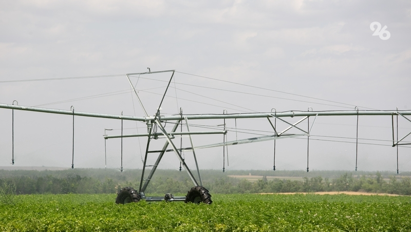 На Ставрополье увеличат рост сельхозпроизводства за счёт развития орошения