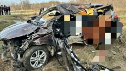 На Ставрополье трое детей погибли в столкновении поезда и легкового авто