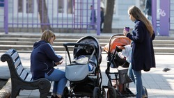 Семьи с детьми на Ставрополье получают десять мер государственной поддержки