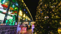 Зимняя сказка по-ставропольски: как улицы, кафе и магазины окунулись в новогоднюю атмосферу