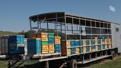 Ставропольские пчеловоды отмечают Медовый Спас на пасеках 