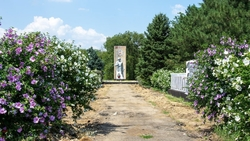 Зону отдыха благоустроят в станице Изобильненского округа к концу лета