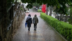 На Ставрополье 23 мая вернутся дожди и грозы