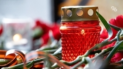 Более 5 тыс. снимков разместят на панно «Поколения победителей» в Предгорье