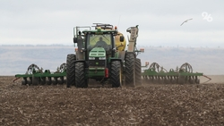 100% посеянных озимых культур взошли на Ставрополье 