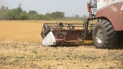 Причины гибели ставропольца под комбайном установит Гострудинспекция