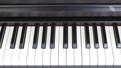 13 ставропольских деятелей культуры получат губернаторские премии