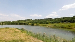 Специалисты проведут анализ воды после сообщений о попадании мазута в реку Кума