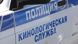 Информация о минировании двух школ в Ессентуках оказалась ложной