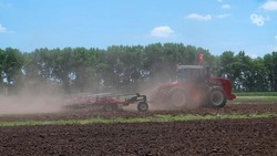 Пятая часть сельхозполей в крае засеяна ставропольскими семенами