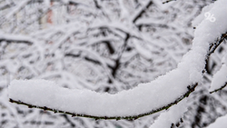 Глава Ставрополья поручил краевым министерствам подготовиться к ухудшению погоды