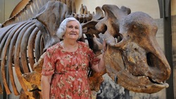 «Мама» южного слона умерла в Ставрополе