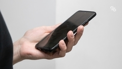 Ставропольских пасечников призвали пользоваться приложением «Портал пчеловода» 