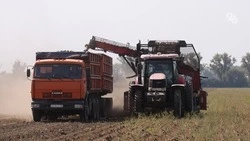 На Ставрополье убрали 711 тыс. тонн сахарной свёклы